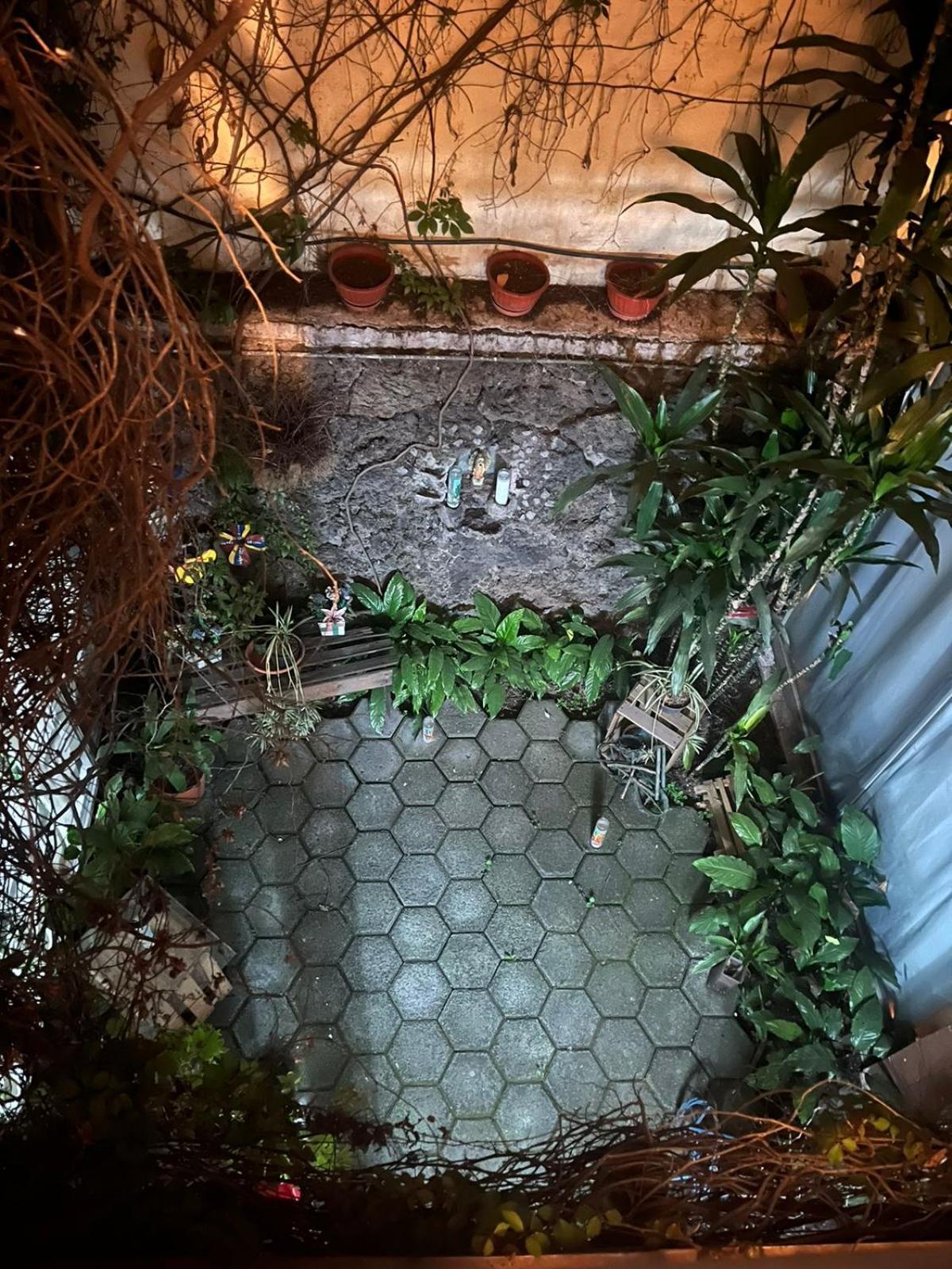 Las Rosas México DF Exterior foto